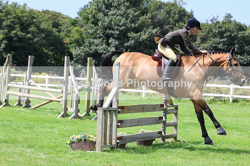 3E7A8894 - Class 6: Open Working Horse