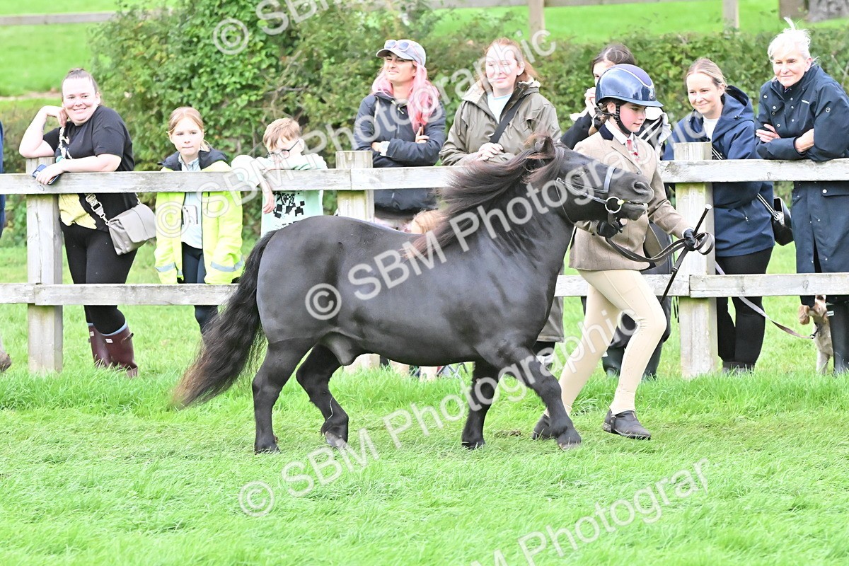 SBM_68544 - S42 - Junior Handler 9-12 Years