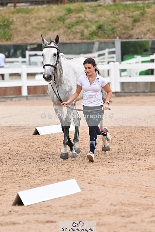 250716-143224-01178 - Trot Up 2.30 to 3.30