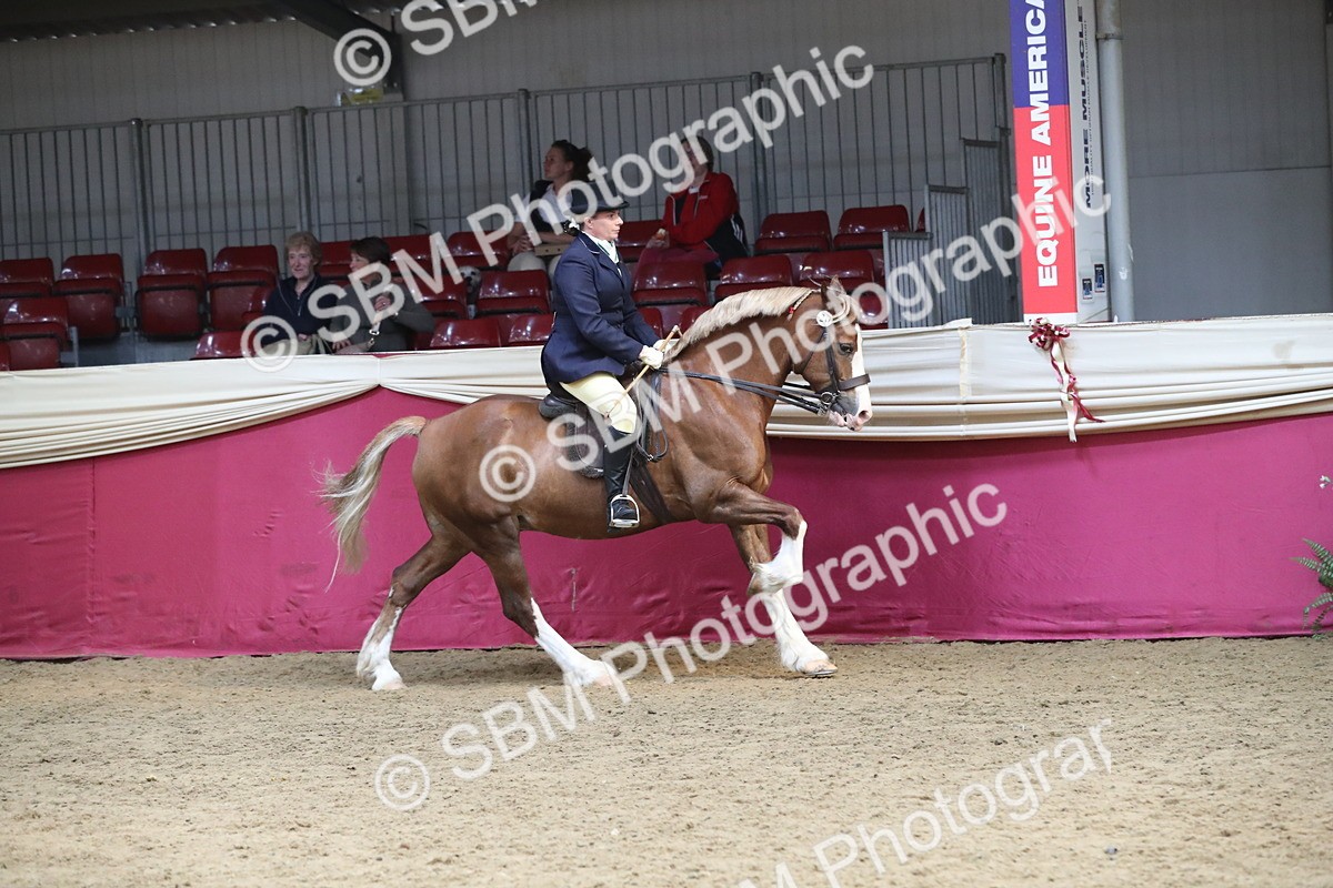 SBM_16324 - Class 502 M&M Ridden Supreme Final