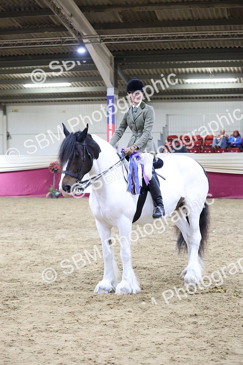 SBM_21332 - Class S - Style & Performance Champ