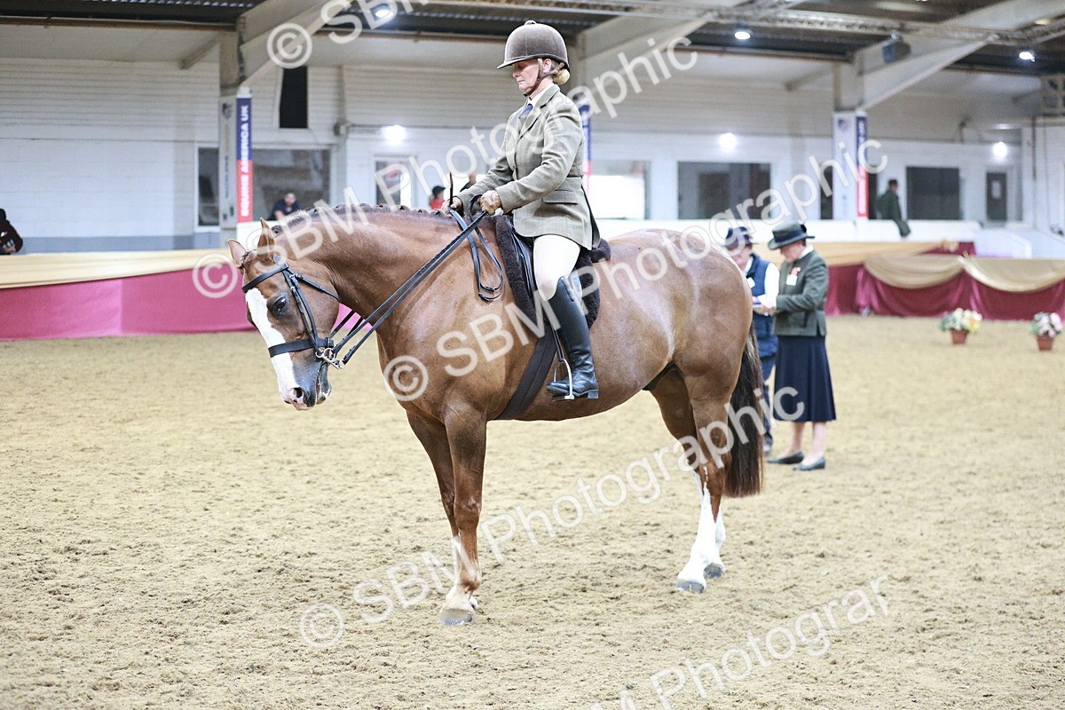 SBM_08952 - Class 12R - Regional Ridden Pre-Vet