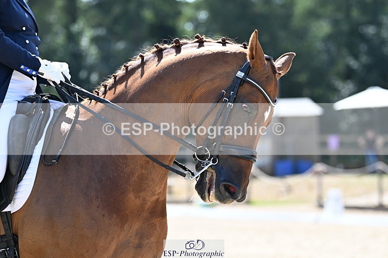 250810A-142413-07238 - 147-Judy.HarveySP.Bento