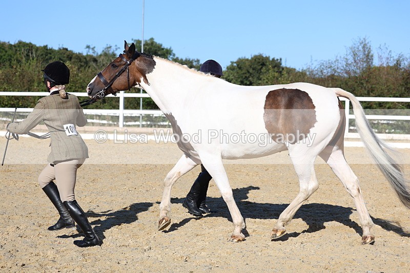 3E7A5327 - Class 8: Small Ridden Hunter