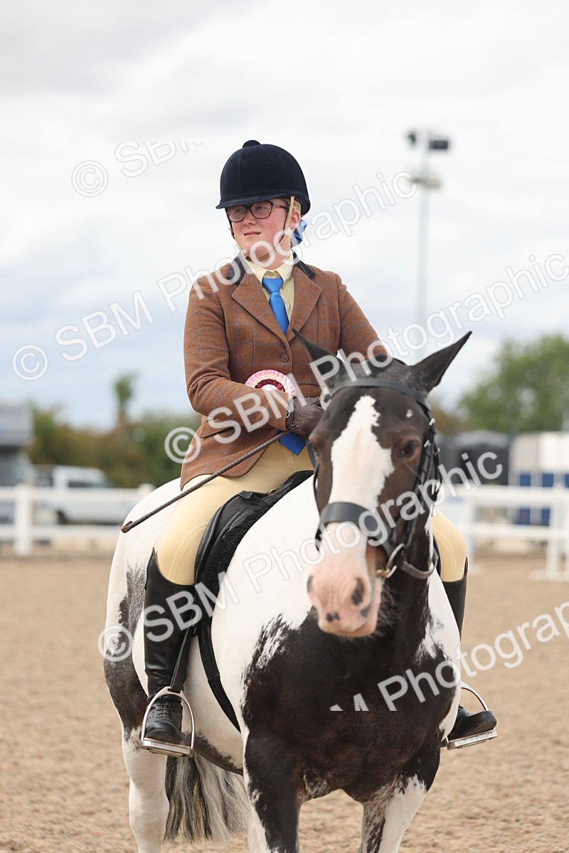 SBM_18088 - Class 314 - Family Horse Pony