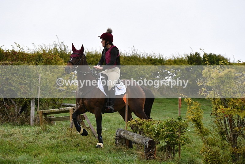 WJ5_5557 - Time 10:05 to 10:30  (3 cameras)