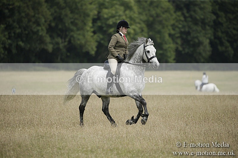 B230619-0464 - Bourne Valley Riding Club Summer Show 23/06/19