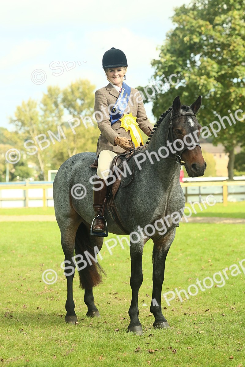 SBM_62698 - S63 - Other Coloured Horse Ridden