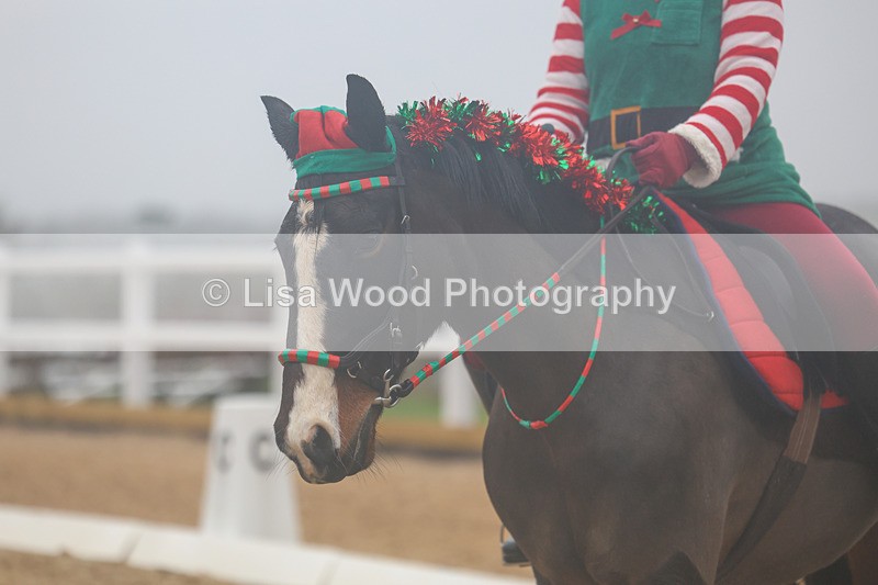 3E7A3152 - Class 1: Intro Section A