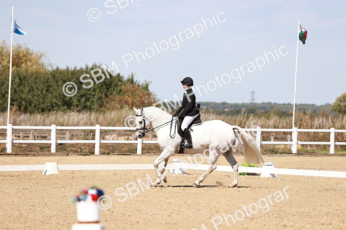 SBM_004962 - Class 12 - Novice 5 - 12.02-12.44