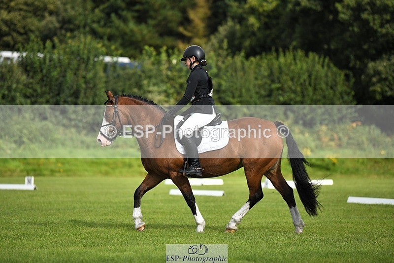 230826-094447-15223 - Sections C & D 9 to 10am