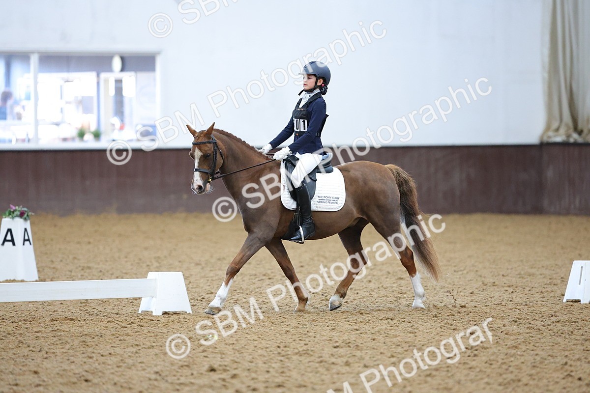 SBM_003669 - Novice