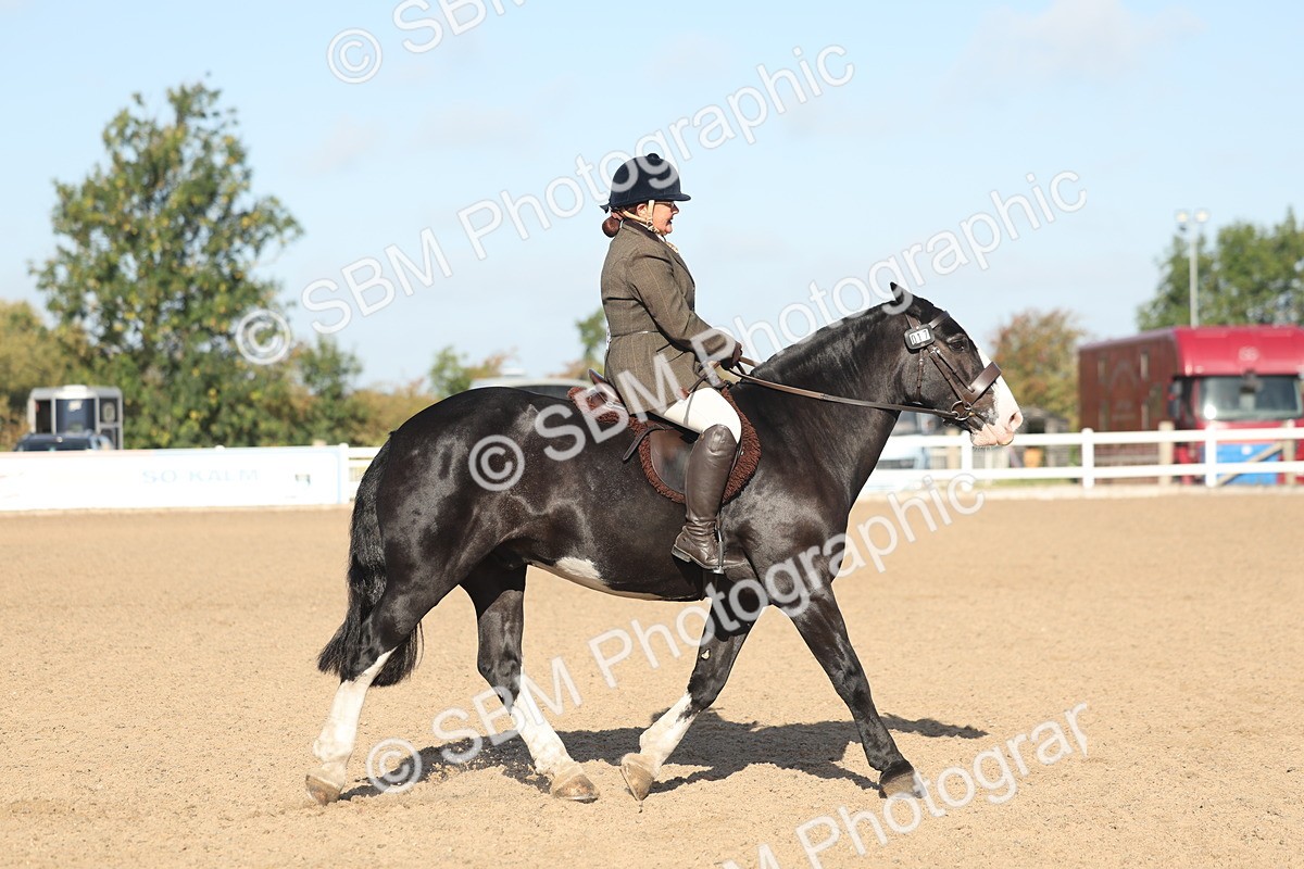 SBM_22188 - Class 802 - Ridden Groom Helpers Class