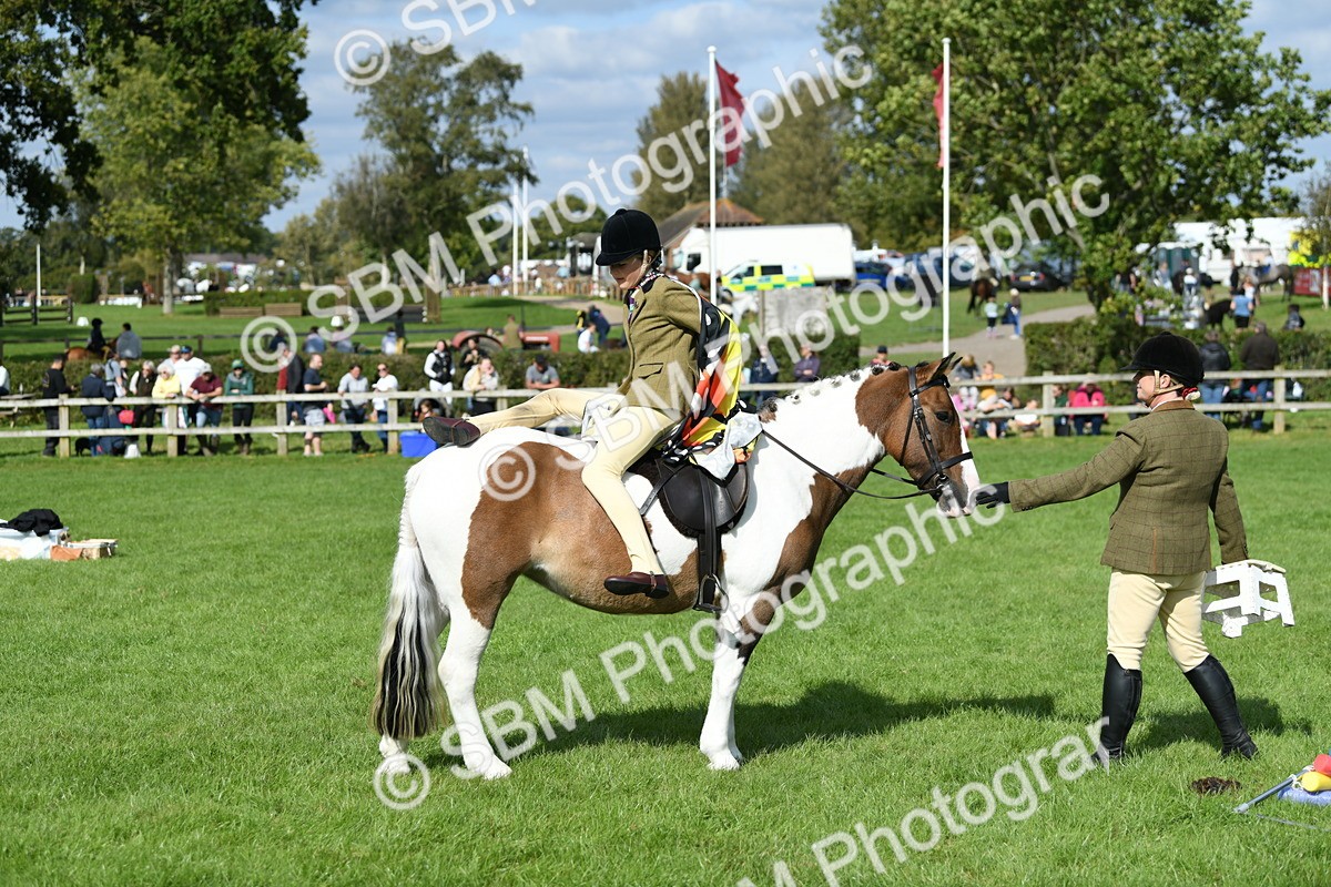 SBM_47130 - S12 - Family Horse & Pony
