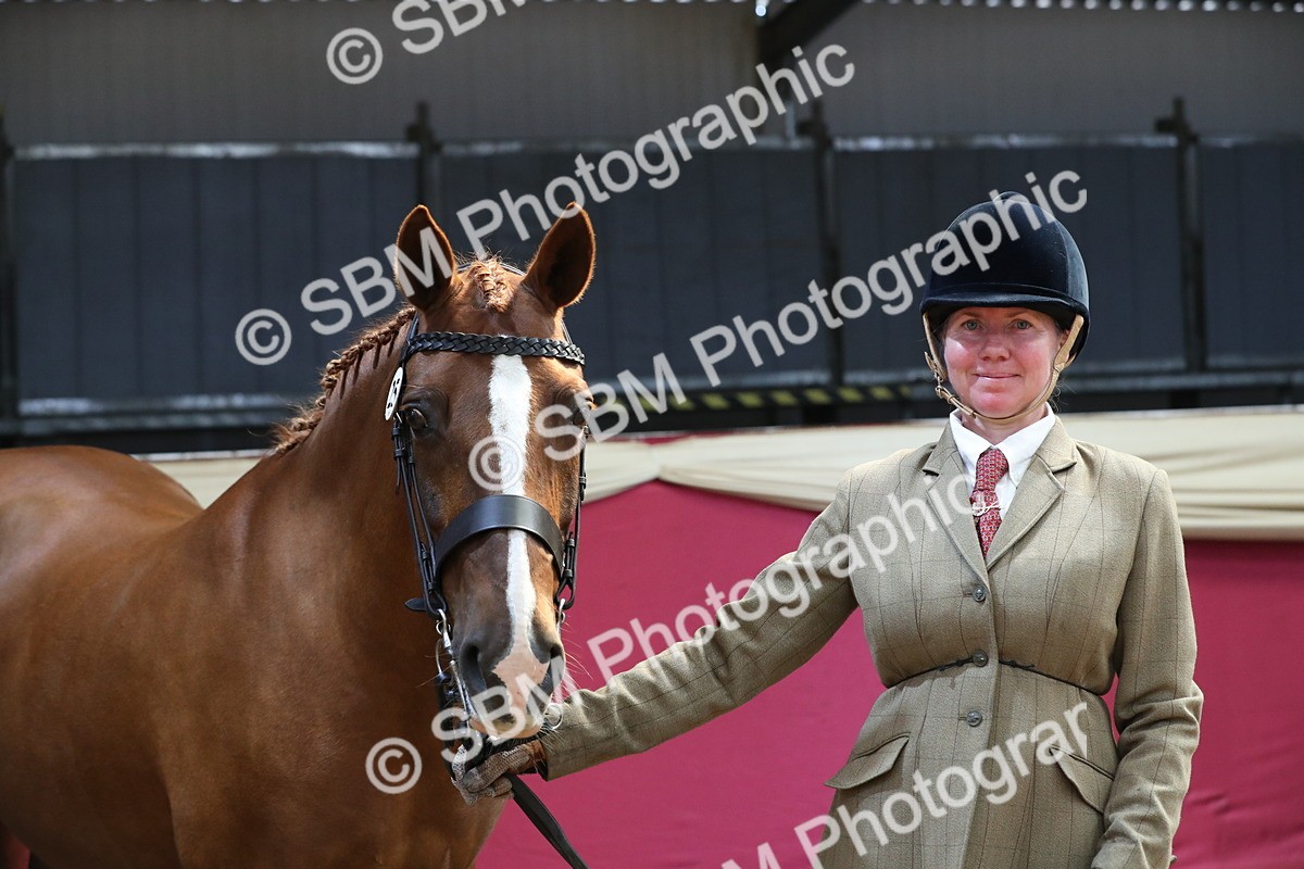 SBM_04441 - Class 7R Regional - IH Diamond