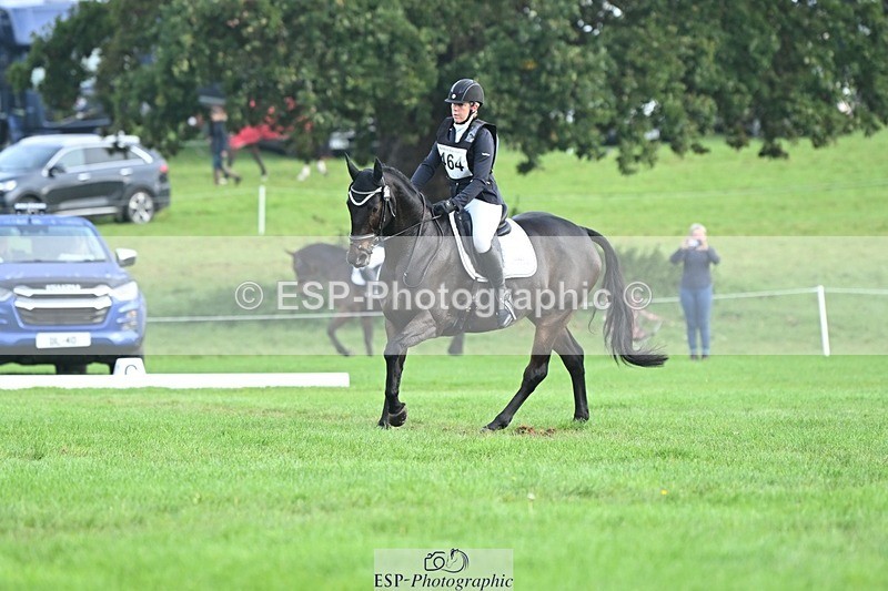 231020-094540-05754 - 464-IMPERIAL.TANGLE-Deborah.Burrell-DR