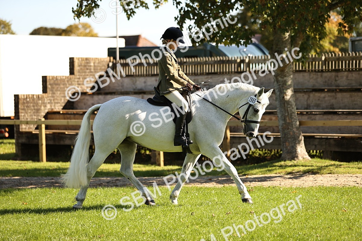 SBM_19069 - S3 - TSR Ridden Pony Showing