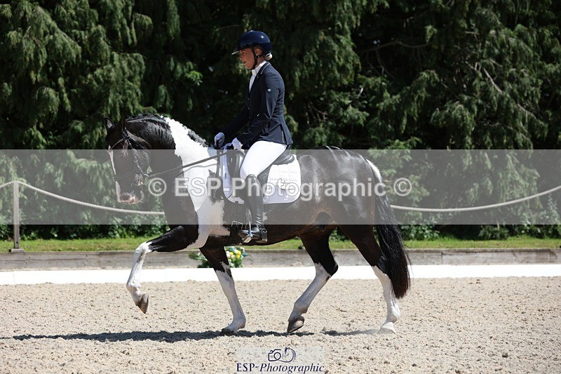 230811-141142-01983 - Cls 1 Prelim Bronze 13.30 to 14.50 break