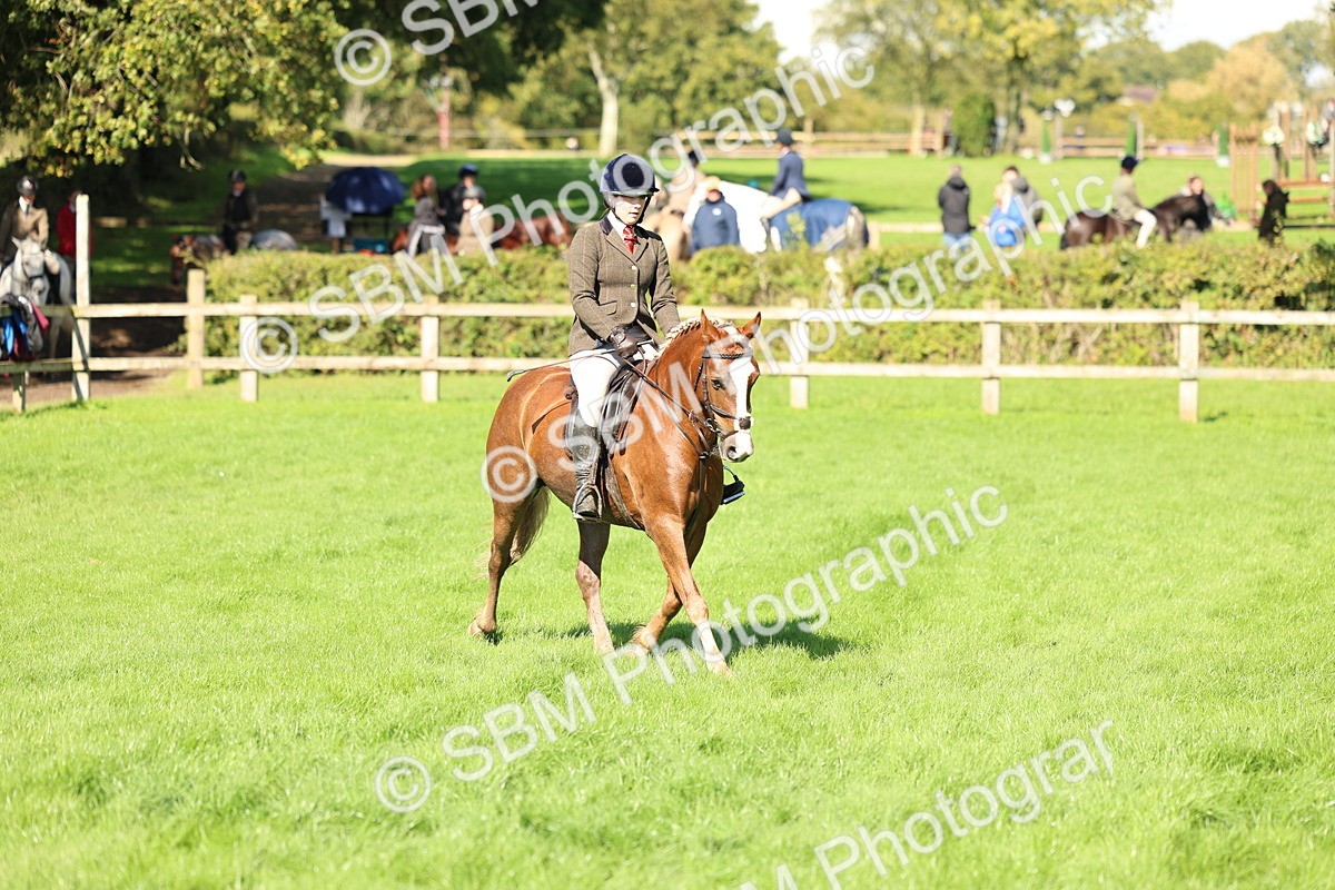 SBM_45429 - S33 - Working Hunter Pony