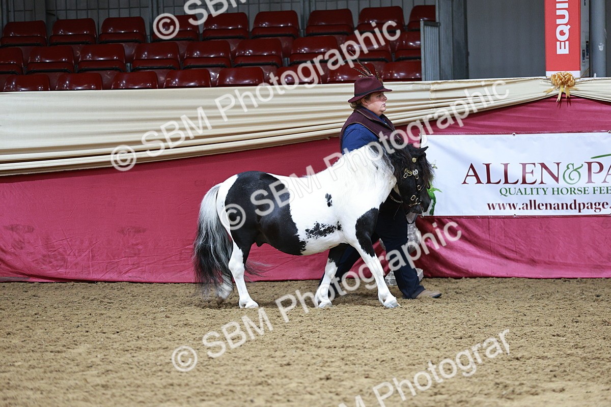 SBM_01134 - Class 3A - Area IH Pre-Vet