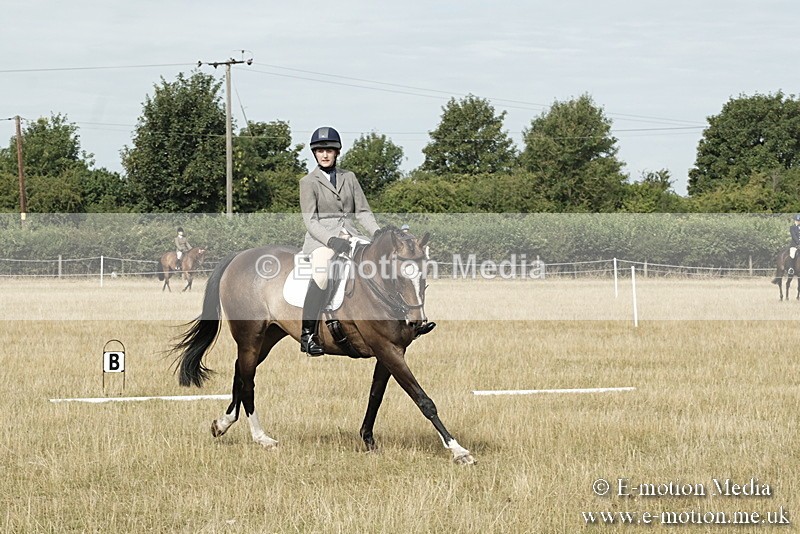 _PJP5672 - Dressage Classes BVRC Show 2018