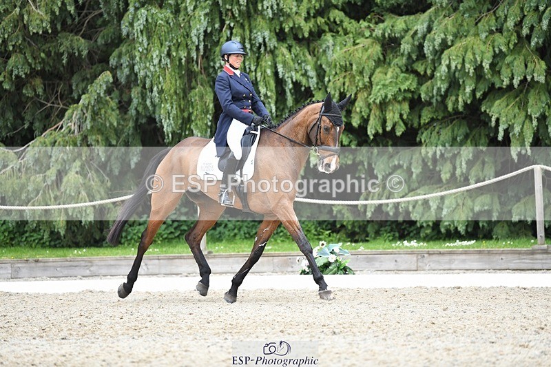 230525-150356-03188 - 324-DRUMGIVEN_MR_CHARISMA-Jeanette_Brakewell-WEDTrotUp+DR