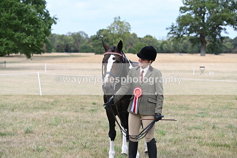 WJ6_6299 - Class 19 In-hand Veterans (Uploaded correct folder)