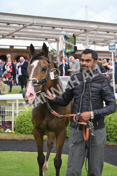 yr21052022r1-40 - Race 1: 1:40pm William Hill Play Responsibly Stakes