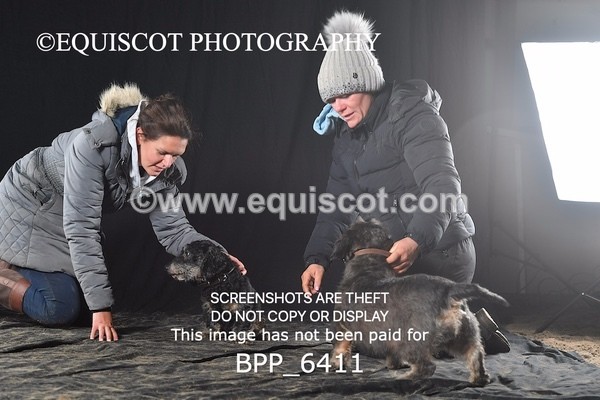 BPP_6411 - CARLA DOGS