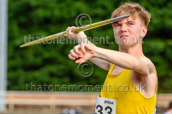 Sen25SUN-927026 - Field Male