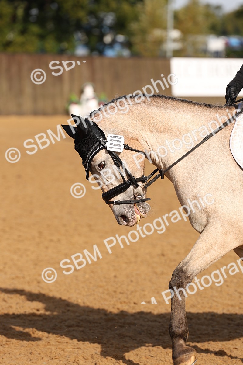 SBM_37536 - D18 - Grand Tour Championship Novice 2