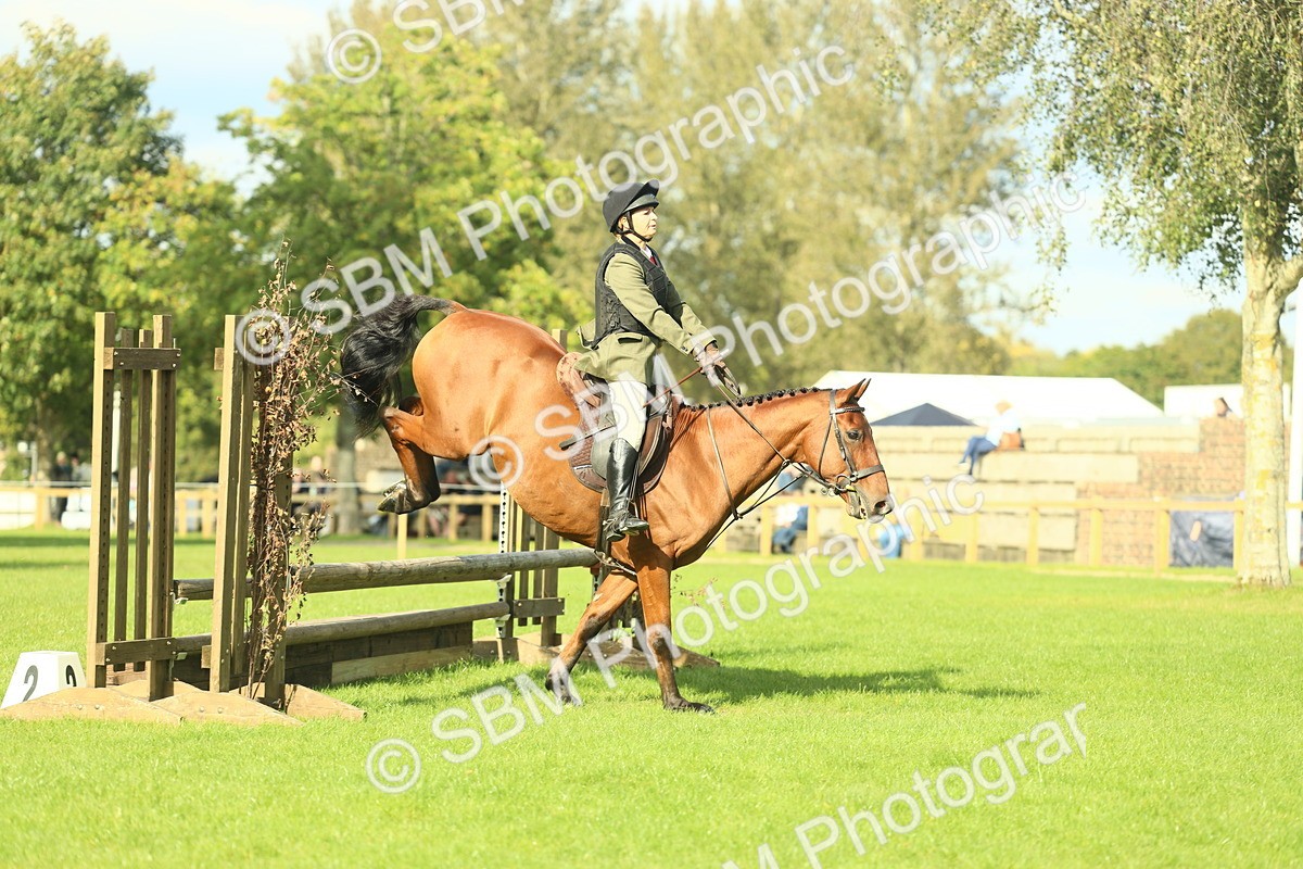 SBM_50557 - S33 - Working Hunter & Working Show Horse