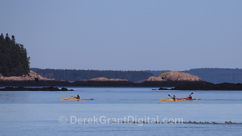 Sea Kayaking Passamaquoddy Bay New Brunswick Canada - Fundy Postcards