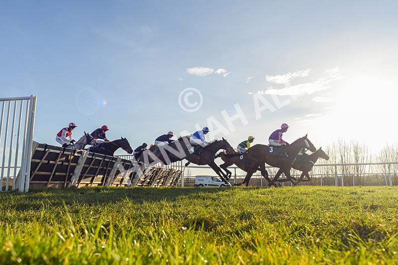 050325-Race 5-Born In The West-3352 - Race 5