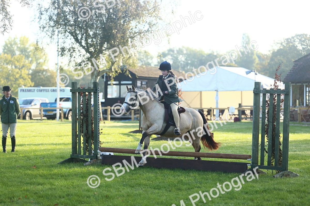 SBM_31852 - S28 - Nursery Stakes Working Hunter Pony