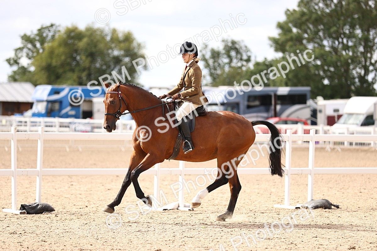 SBM_12940 - Class 410 - Grassroots Ridden - Horse