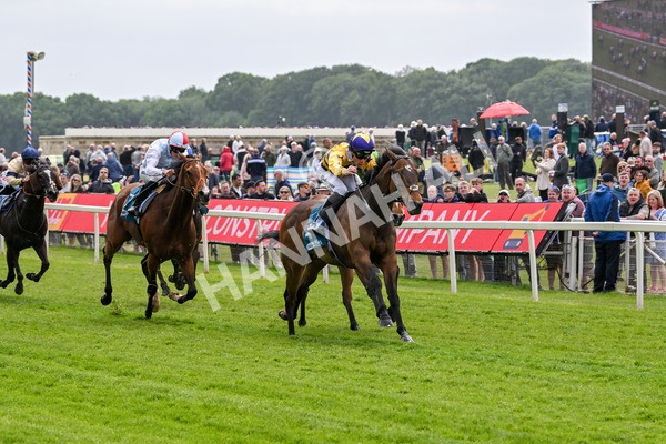 150525-American Affair-3684 - Race 1 2.10pm Lindum York Handicap