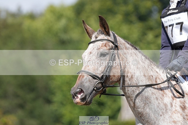 250823A-131242-31152 - Arena A