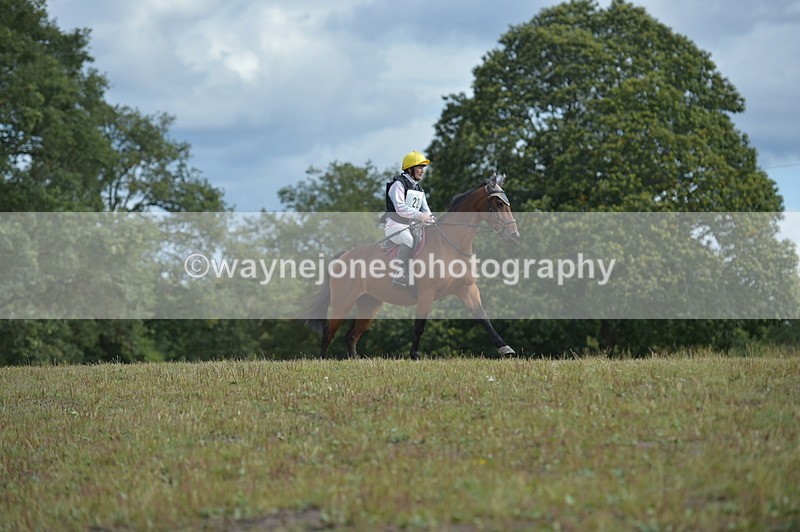 NGP_1694 - XC Time 10:53 to 11:00