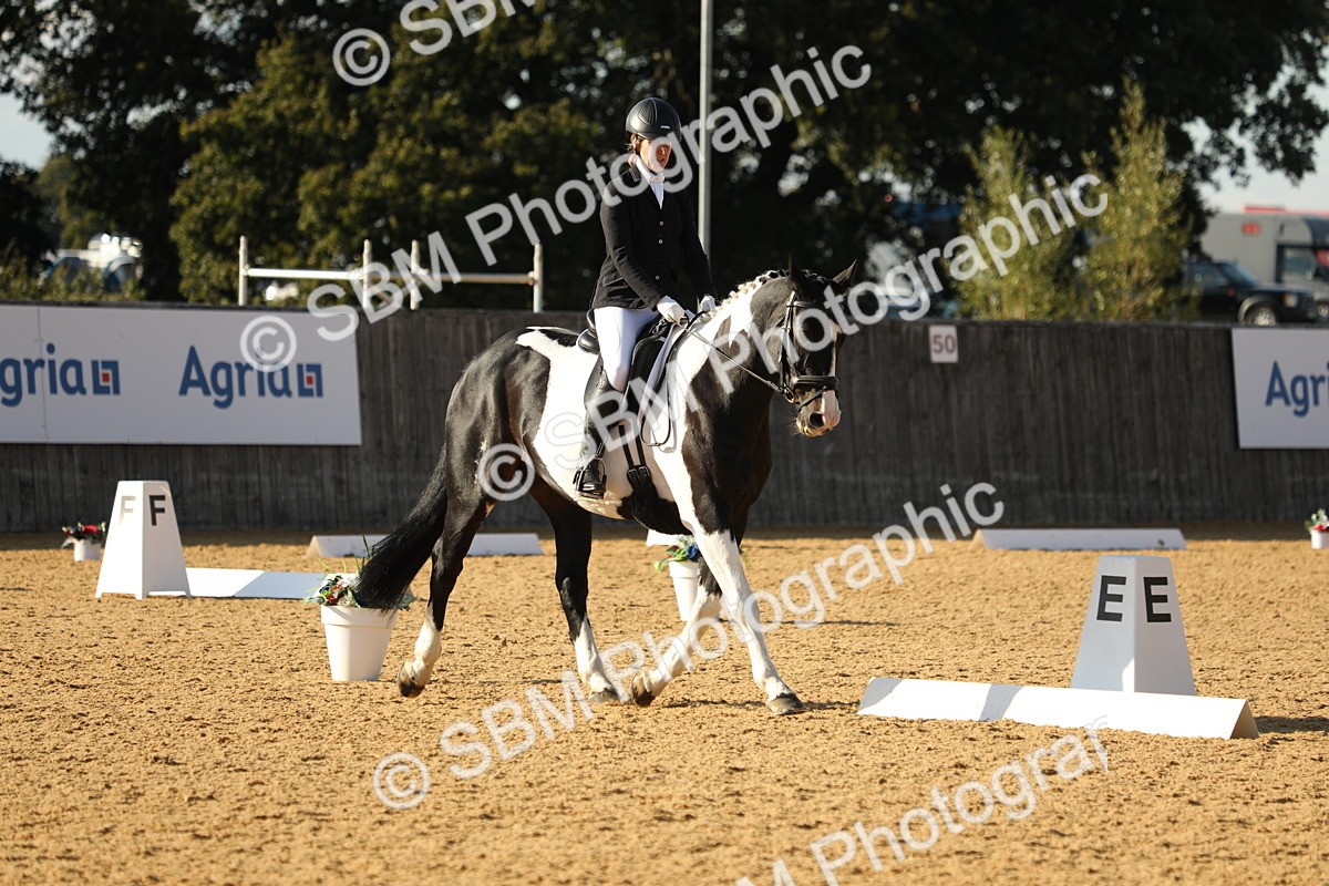 SBM_28521 - D20 - Grand Tour Championship - Elementary 44