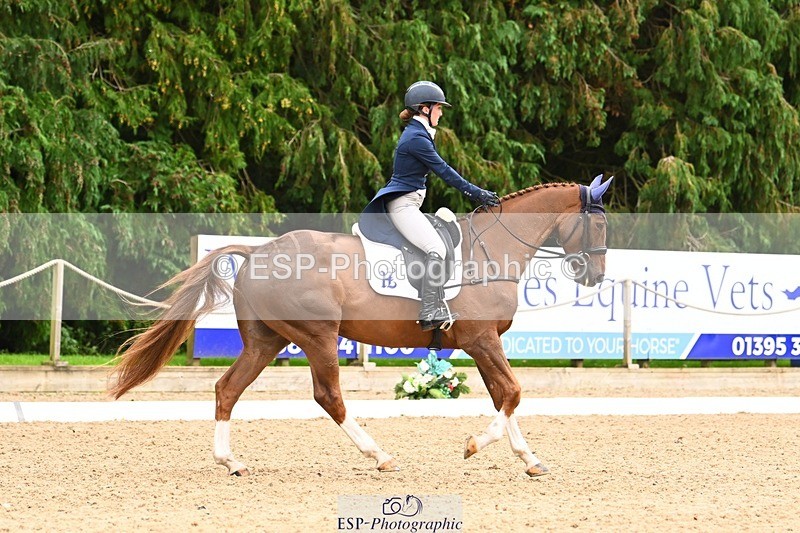 231020-153157-11856 - 213-MGH.HILDARE.HARLEQUIN-Danielle.Mccormack-DR