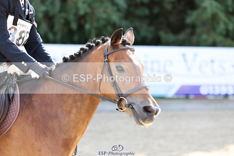 240823X-104237-15614 - 60cm R1 10.00 to 11.30