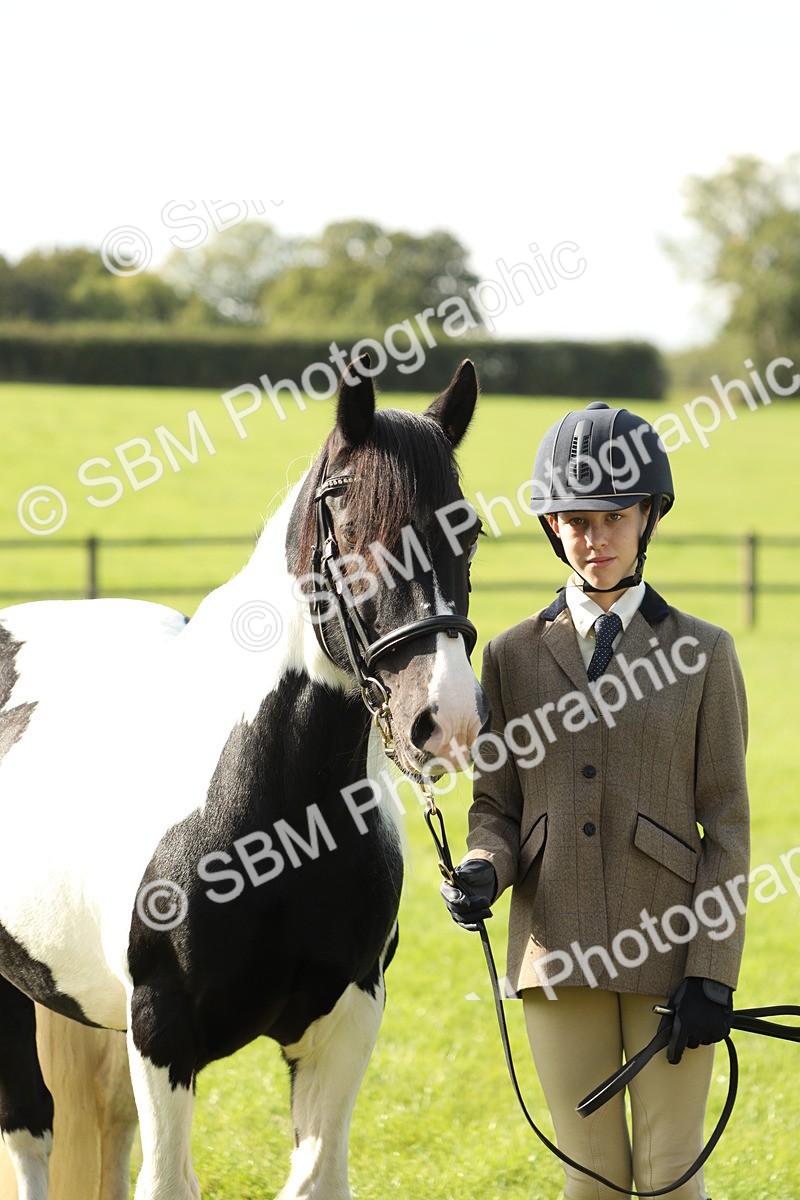SBM_61020 - S43 - Coloured Pony In Hand