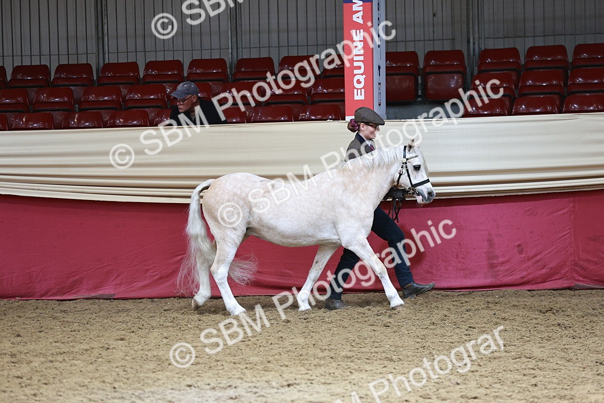 SBM_04709 - Class 7R - Regional IH Diamond