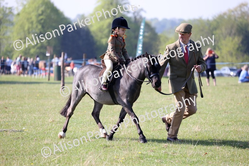 20250427-0168 - Class 30 - Tiny Tots Lead Rein
