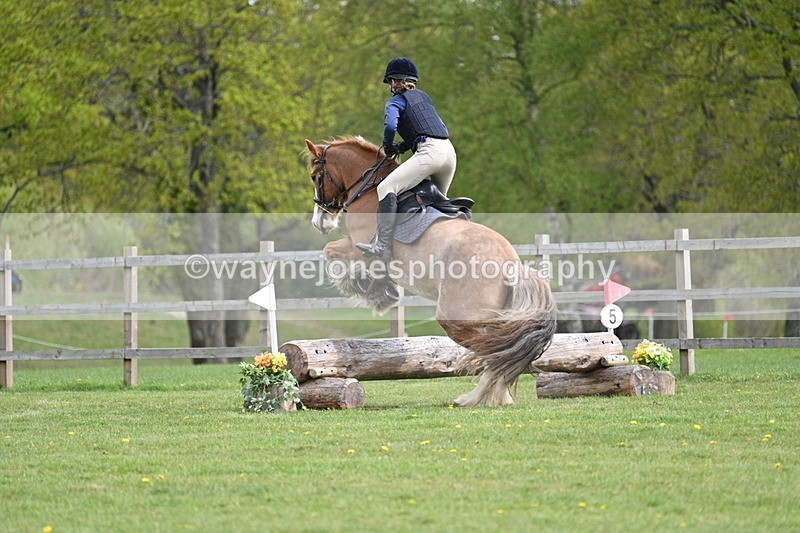 WJ7_6387 - 60cm Time 11:12 to 11:36