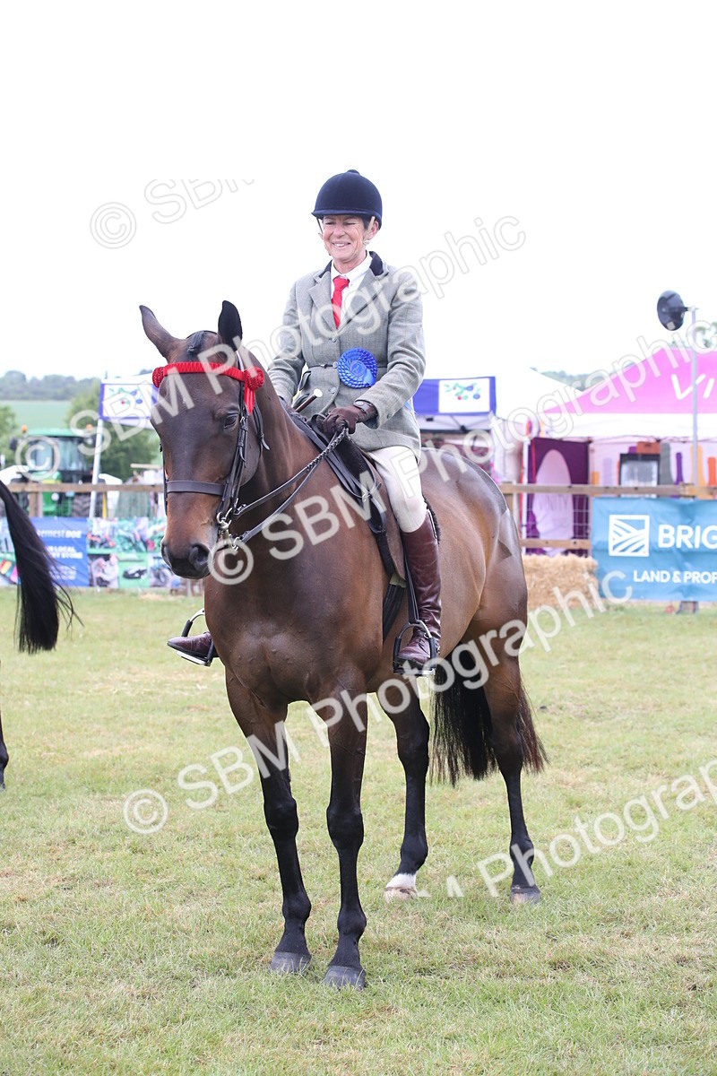 SBM_11469 - Class 94 - LIHS BSHA Racehorse to Showhorse
