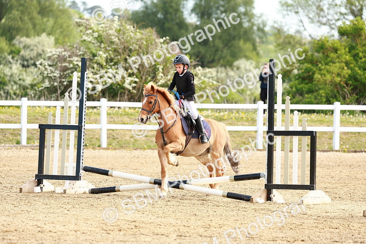 SBM_006618 - Class 1 - 40cm