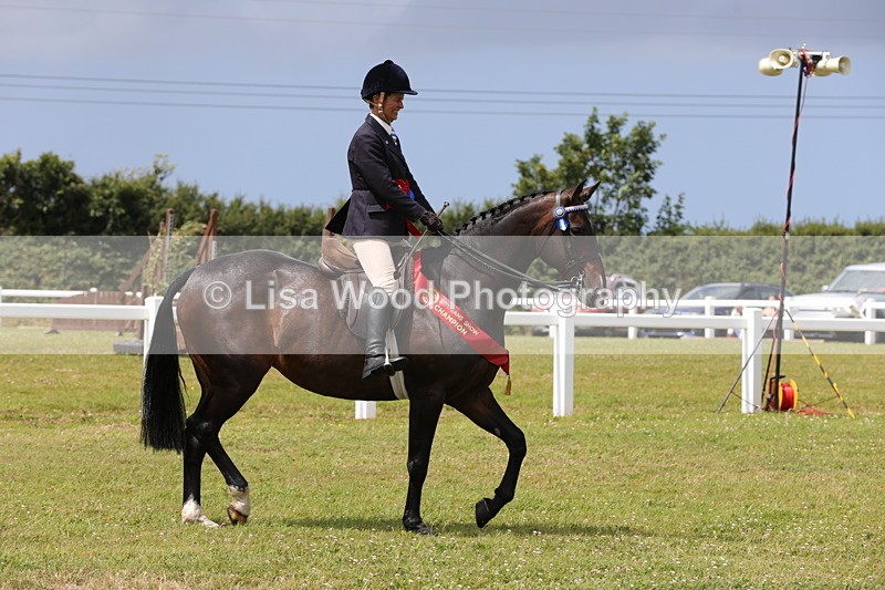 1X9A4986 - Veteran Championship