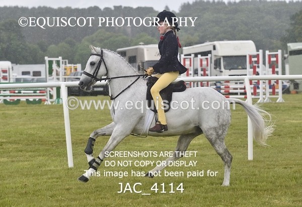 JAC_4114 - 40CM WORKING HUNTER